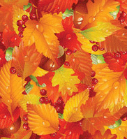 animaatjes-herfst-4270744.gif