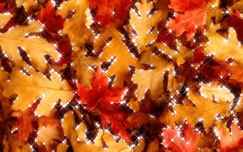 Achtergronden Herfst Rode En Oranje Herfstbladeren