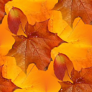 Achtergronden Herfst Oranje Herfstbladeren Met Glitters