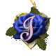 Alfabetten Blauwe roos 