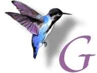 Alfabetten Kolibri Letter G