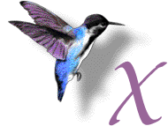 Alfabetten Kolibri Letter X
