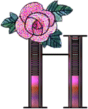 Alfabetten Paars met roos 