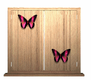 Alfabetten Raam met vlinders Letter D