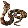 Dieren Slangen Avatars 