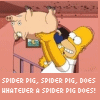 Dieren Varkens Avatars Simpsons Spider Pig