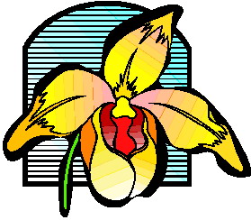 Cliparts Bloemen en planten Orchidee 