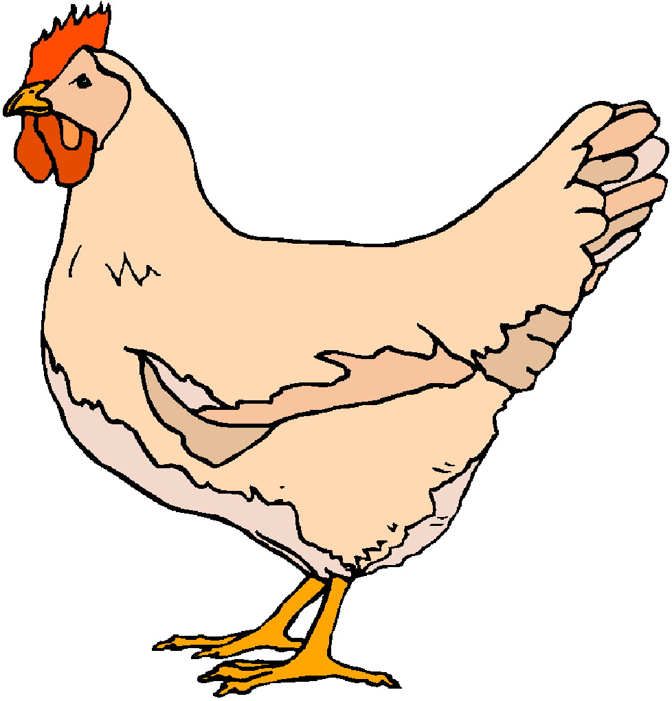 clipart chicken animation - photo #18