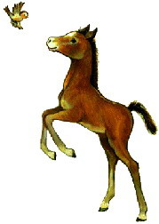 Cliparts Boerderij Paarden 