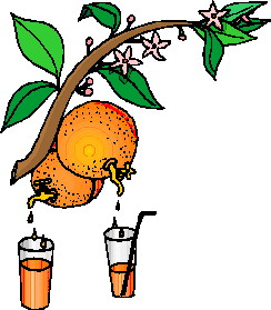 Cliparts Eten en drinken Vruchtensap 