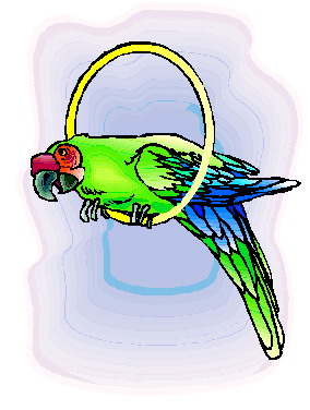 Papegaai Vogel Gekleurd - Gratis vectorafbeelding op Pixabay