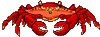 Dieren Krabben Dieren plaatjes 