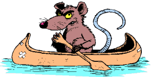 Dieren Ratten Dieren plaatjes 