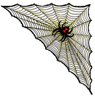Dieren Spinnen Dieren plaatjes Spin In Spinnen Web