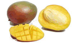 Eten en drinken Eten en drinken plaatjes Mango 