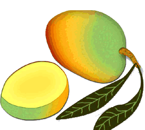 Eten en drinken Eten en drinken plaatjes Mango 