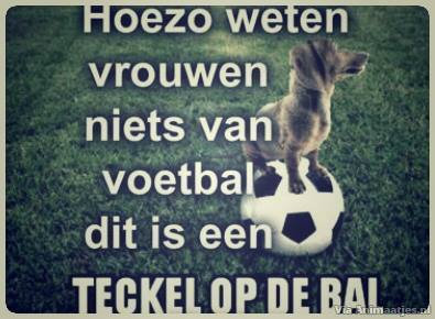 Bol Com Hoe Kun Je Leven Met Een Vrouw En Toch Voetbal Kijken M