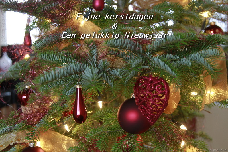 Kerst Facebook Plaatje » Animaatjes.nl