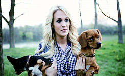 Honden GIF. Dieren Artiesten Kat Gifs Carrie underwood Hond Muziekvideo 