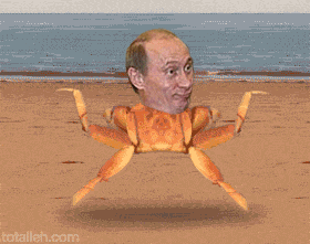 Krab GIF. Dieren Wow Krab Gifs Fabelachtig Lolwut Putin 