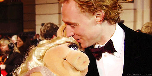 Tom Hiddleston GIF. Zoenen Gifs Filmsterren Tom hiddleston Muppets Miss piggy 