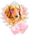 Honden Glitter plaatjes Hond Prinses