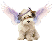 Honden Glitter plaatjes Hond Met Vleugels