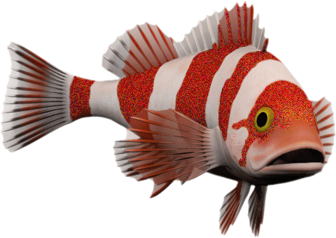 Afbeeldingsresultaat voor bewegende animaties vissen