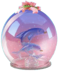 Globes dolfijnen globes