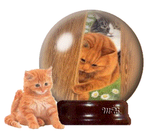 Globes Globes katten Katen, Kitten, Globe