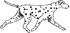 Honden plaatjes Dalmatier Dalmatier Die Snel Loopt