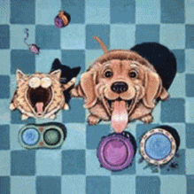 Hond en poes honden plaatjes