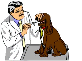 Honden plaatjes Honden dokter 