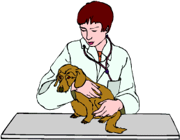 Honden plaatjes Honden dokter 