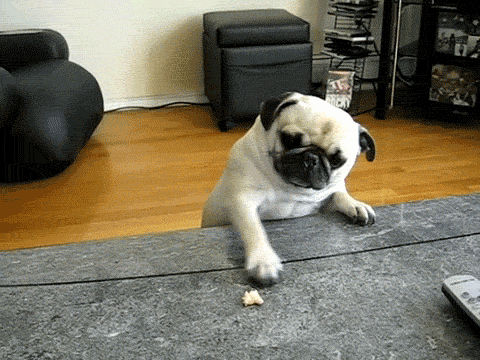 animaatjes-mopshondjes-8186046.gif