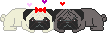 Mopshondjes honden plaatjes