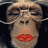 Dieren Apen Icon plaatjes Aap Met Bril Rode Lippen