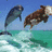 Dieren Icon plaatjes Dolfijn 