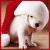 Kerstmis Icons Icon plaatjes Hondje Met Kerstmuts