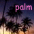 Icons Icon plaatjes Palm boom 