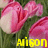 Icon plaatjes Naam icons Alison 