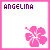 Icon plaatjes Naam icons Angelina 