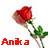 Icon plaatjes Naam icons Anika 