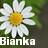 Icon plaatjes Naam icons Bianka 