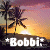 Icon plaatjes Naam icons Bobbi 