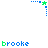 Icon plaatjes Naam icons Brooke 