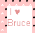 Icon plaatjes Naam icons Bruce 