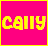 Icon plaatjes Naam icons Cally 