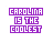 Icon plaatjes Naam icons Carolina 