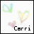 Icon plaatjes Naam icons Carri 